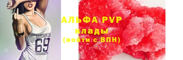 стаф Алексин